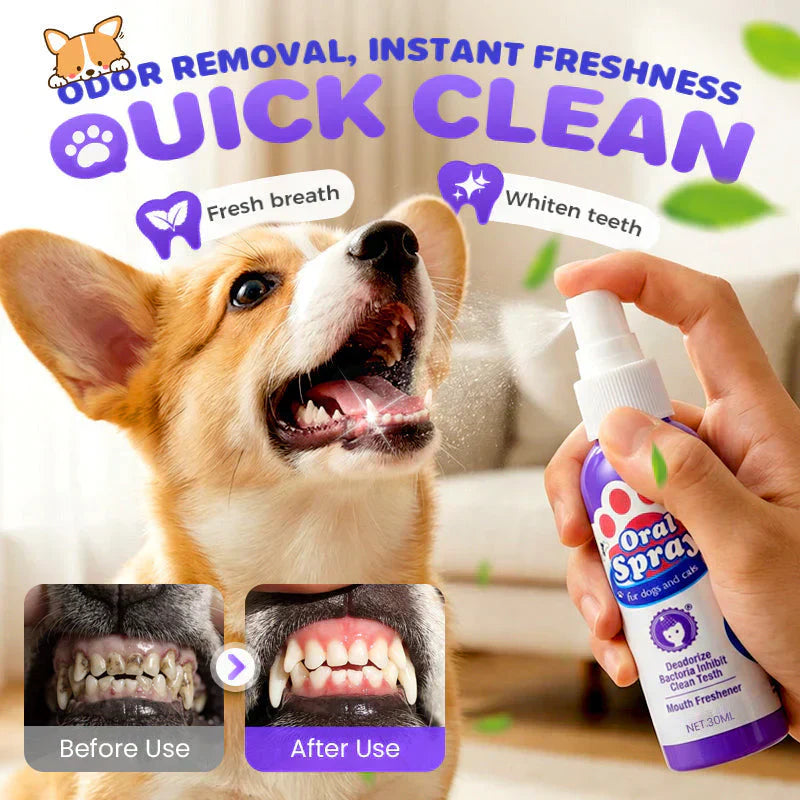 🥇Teeth Cleaning Spray for Pets🆙
