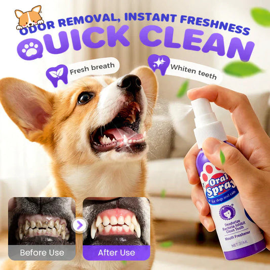 🥇Teeth Cleaning Spray for Pets🆙